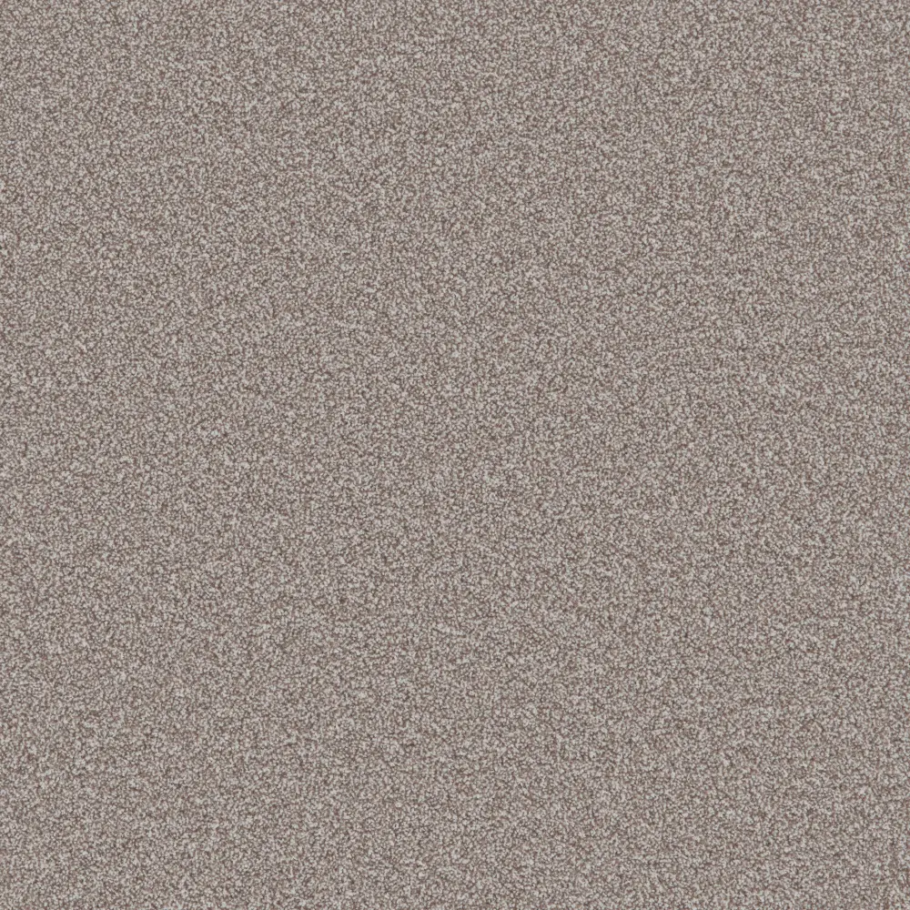 autumn morning with 0% finance carpet available any season