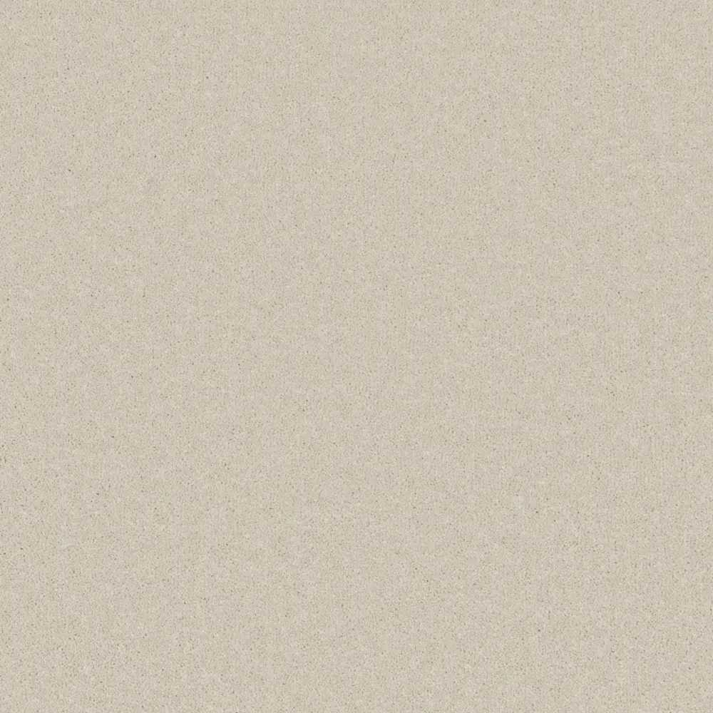 Carefree Ultra carpet swatch — Clotted Cream