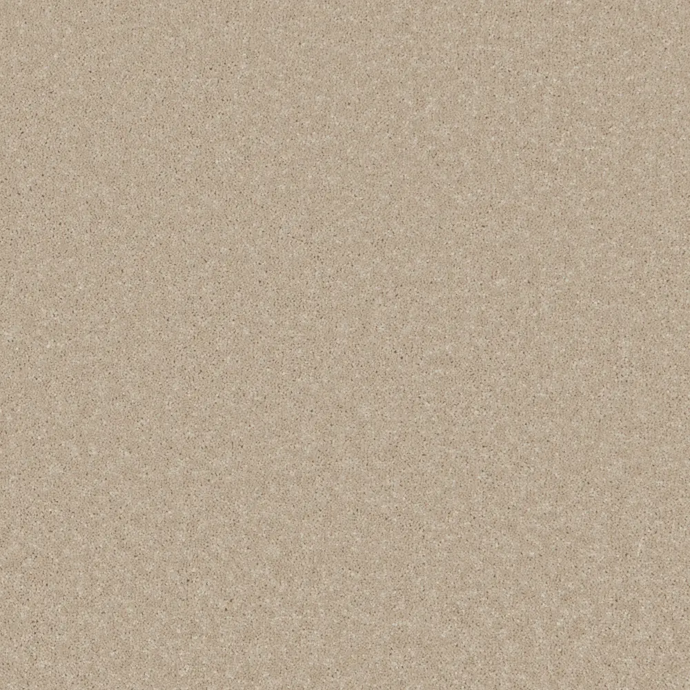 Carefree Ultra carpet swatch — Coral Cluster